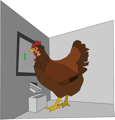 More Than Eggs – Relationship Between Productivity and Learning in Laying Hens